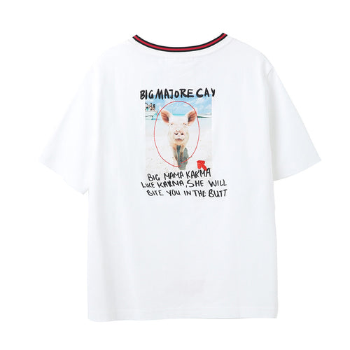 U-PIG Theme T-Sample