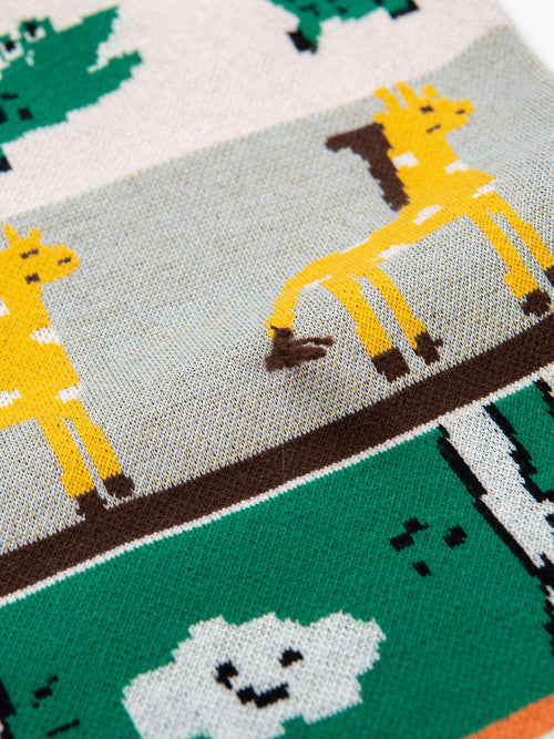 Animal Jacquard Shorts