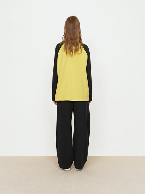 Cat Color Blocked T-Shirt