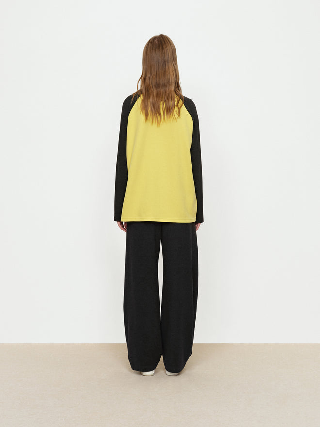 Cat Color Blocked T-Shirt