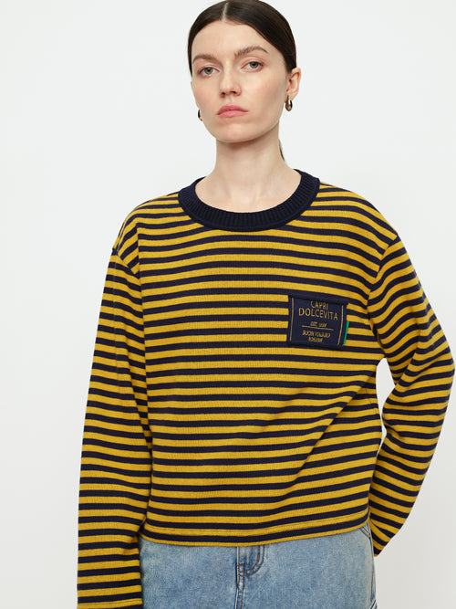 American Striped Sweatshirt