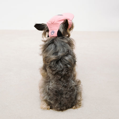Pet Pink Baseball Cap