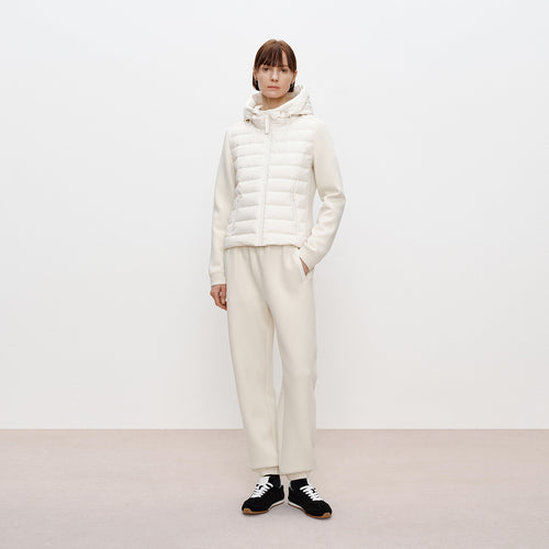 Hoodie-Panel Down Jacket