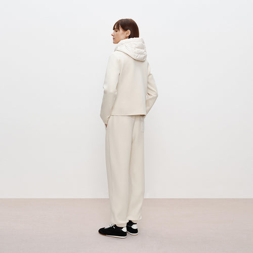 Hoodie-Panel Down Jacket