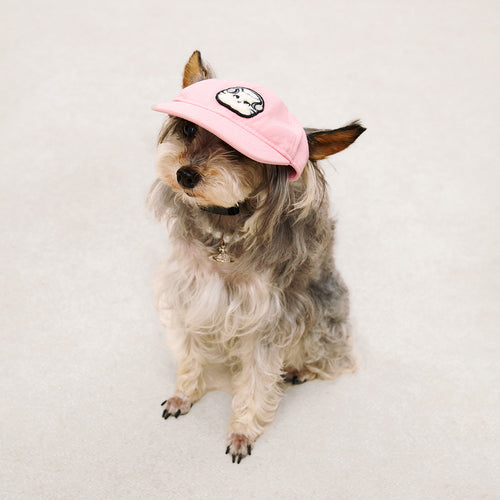 Pet Pink Baseball Cap