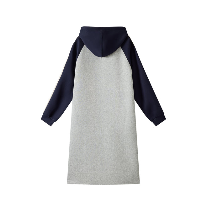 Wine Stained Blueberry Dress