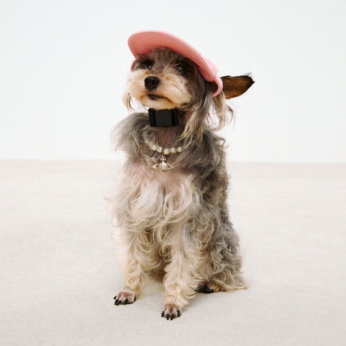 Pet Pink Baseball Cap