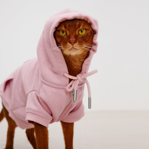 Cat Soft Pink Zip-Up Hoodie