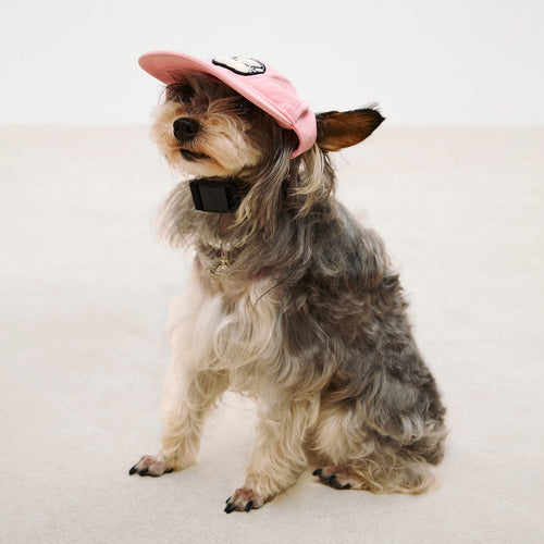 Pet Pink Baseball Cap