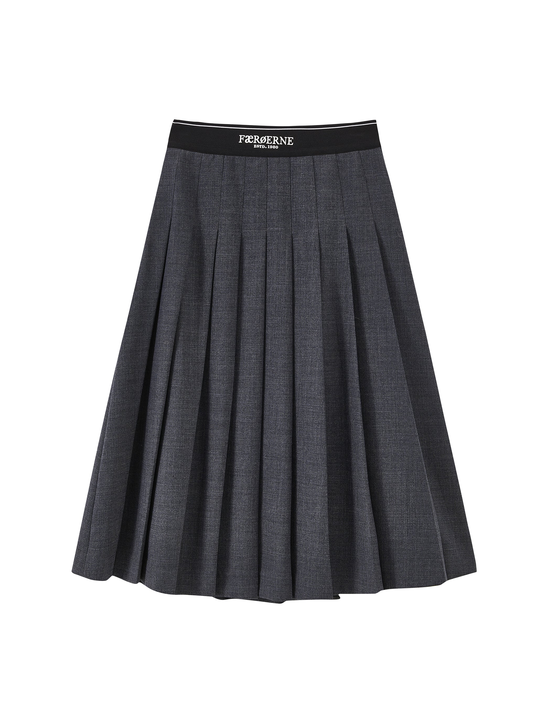 Elastic Waist Pleated Skirt - Main Image